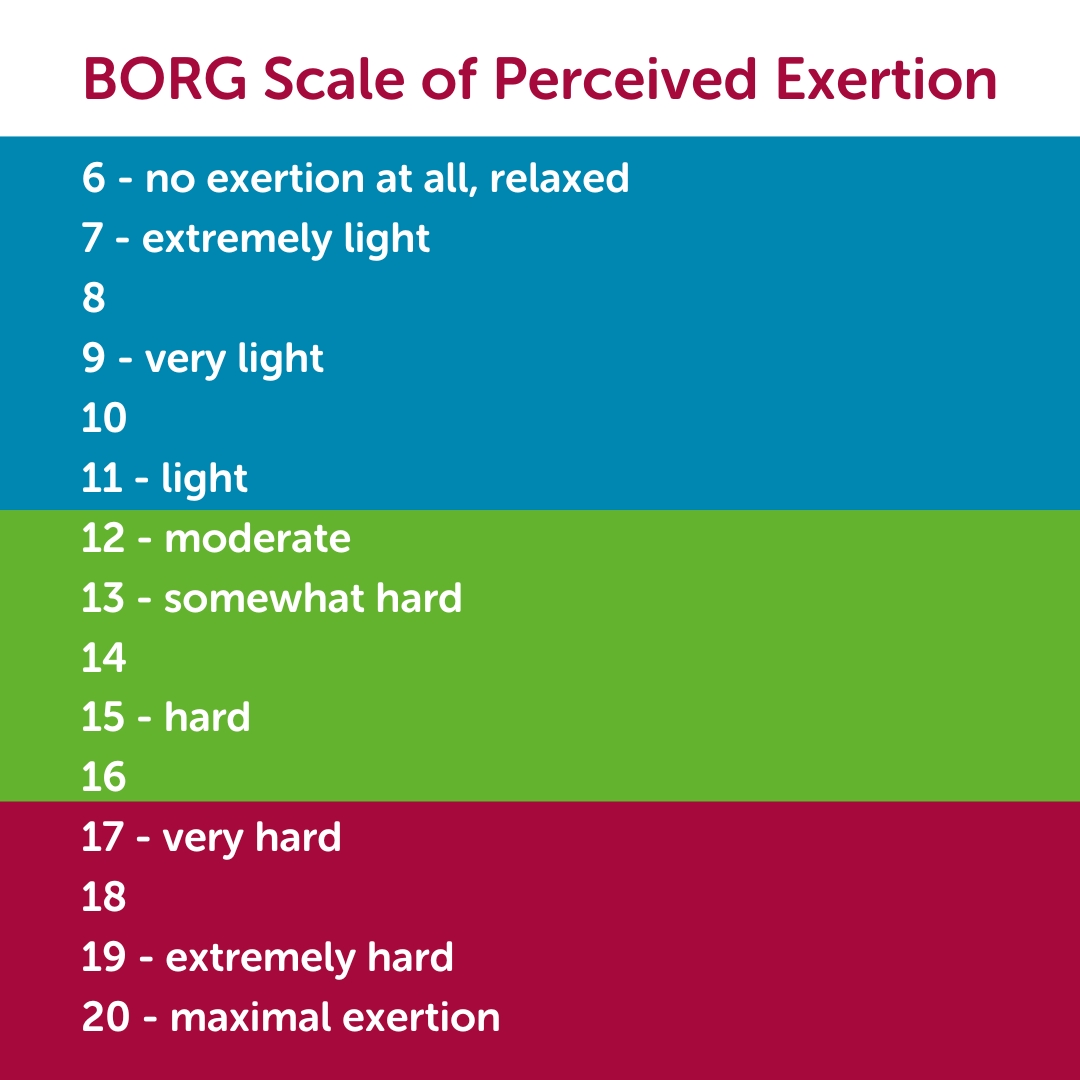 BORG Scale of Perceived Exertion