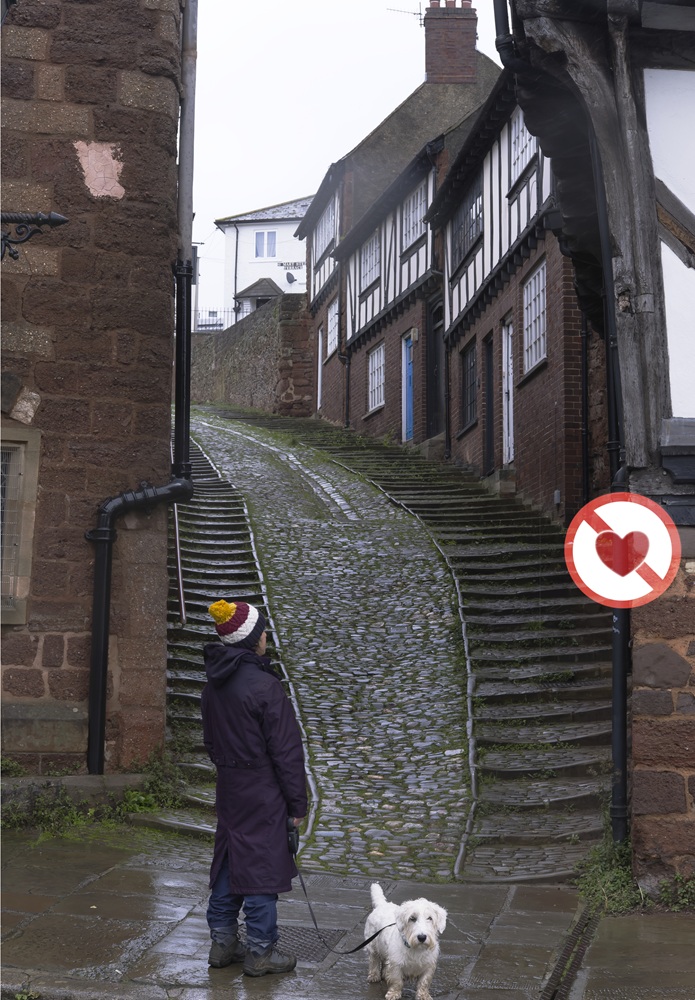 A person with a dog stands looking up a steep cobbled street with steps.