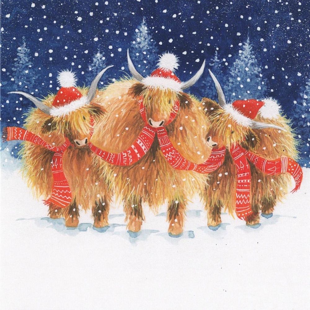 Christmas card featuring three Highland cows in Christmas hats
