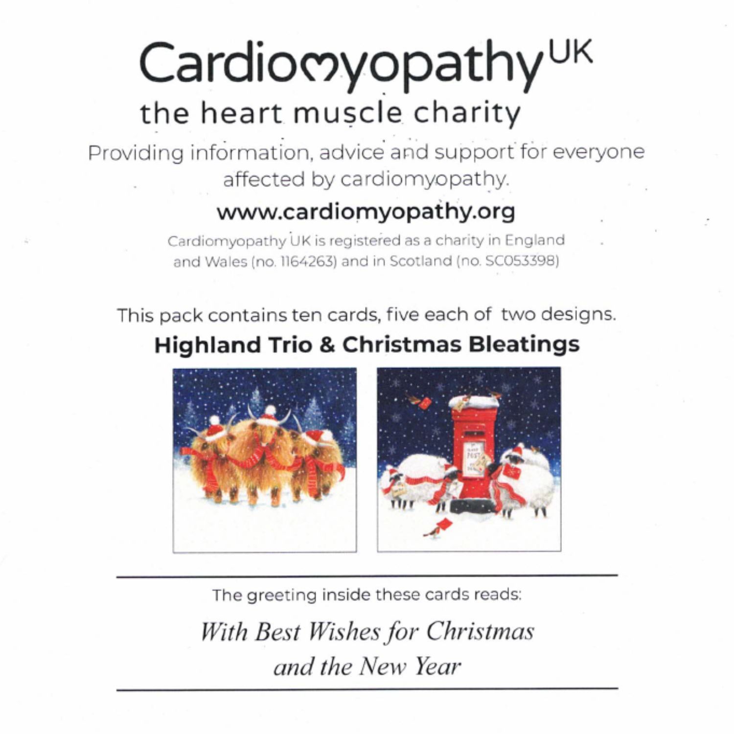 Back of Christmas card box